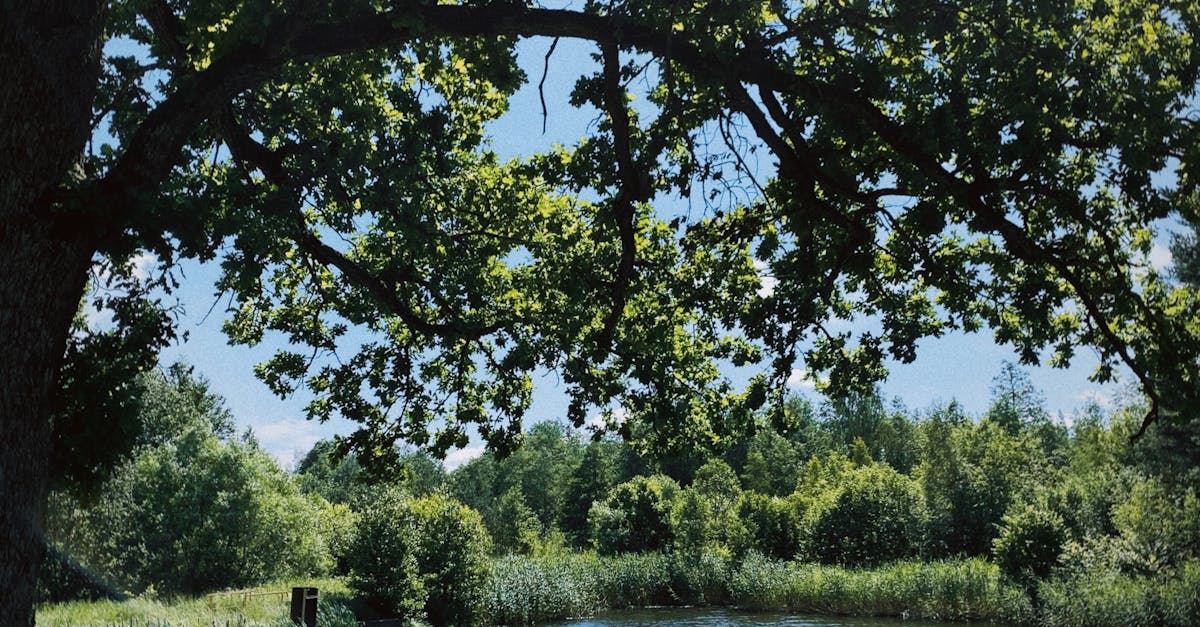 Water restoration services in Lexington